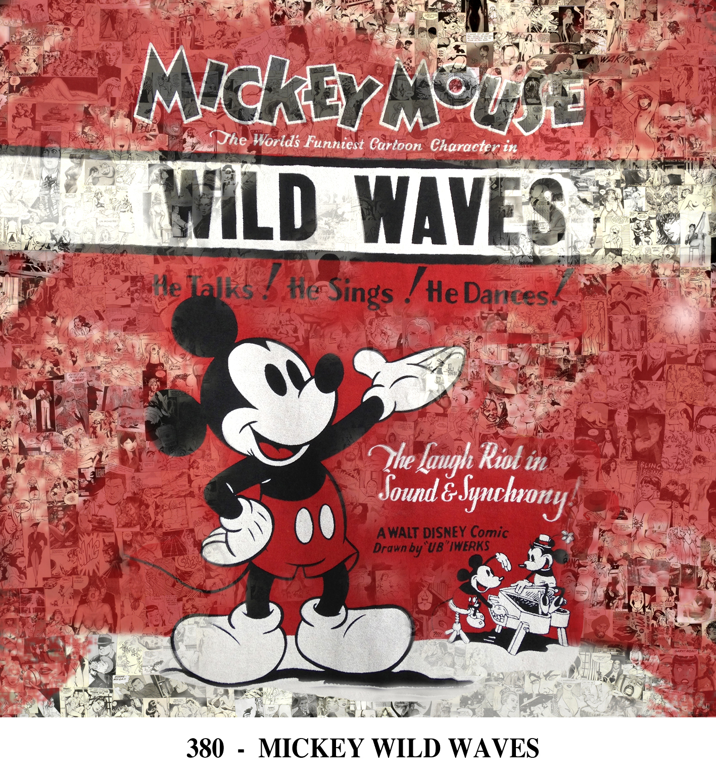 380 - MICKEY WILD WAVES.jpg